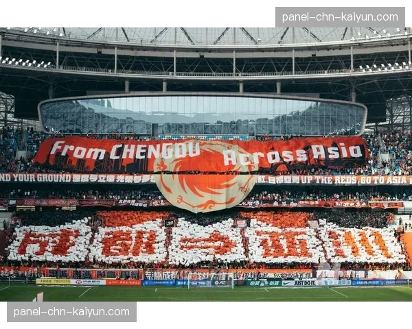 特写：争议判罚后，成都蓉城主帅徐正源场边激动抗议